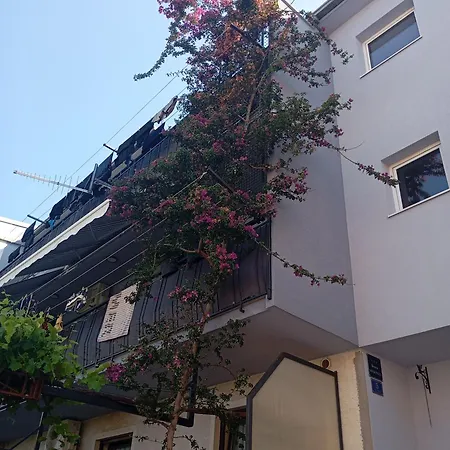 Josipa * Makarska